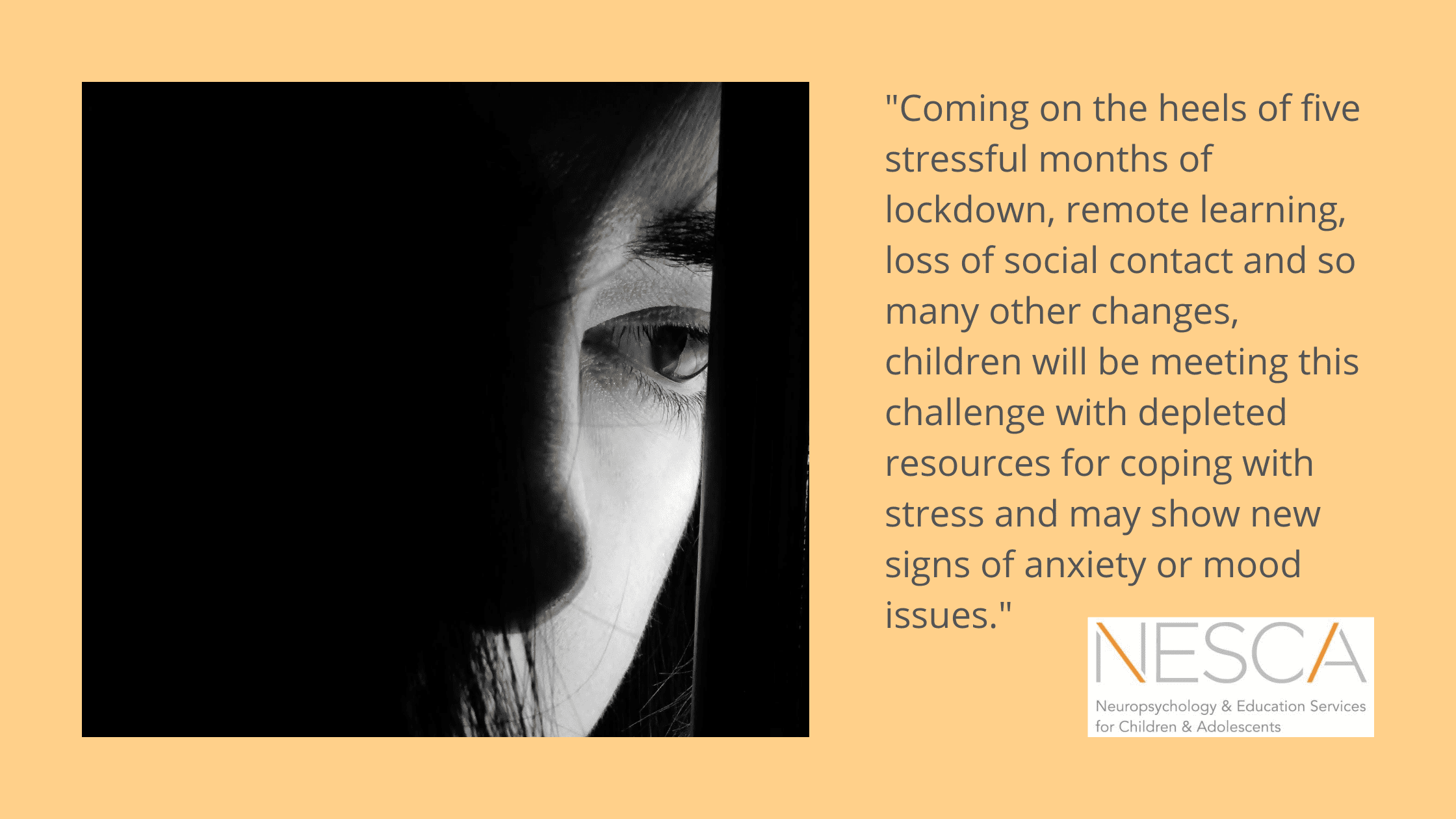 The Next Pandemic:  Mental Health Issues
