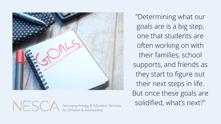 Executive Function and Goal Setting