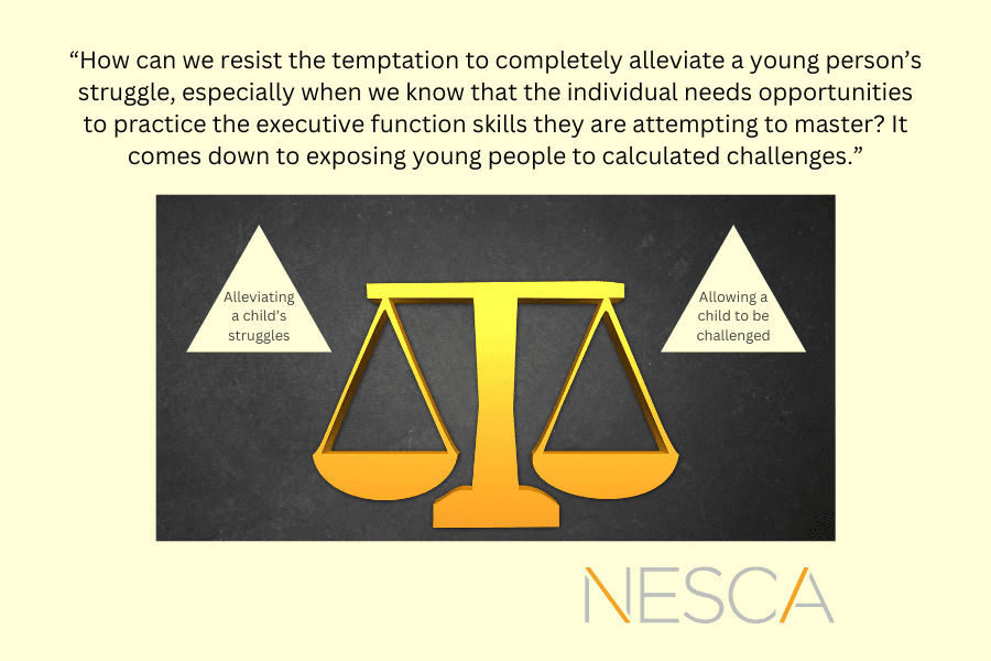 Allow Them to be Challenged! (Building Children’s Executive Functions): Part 1
